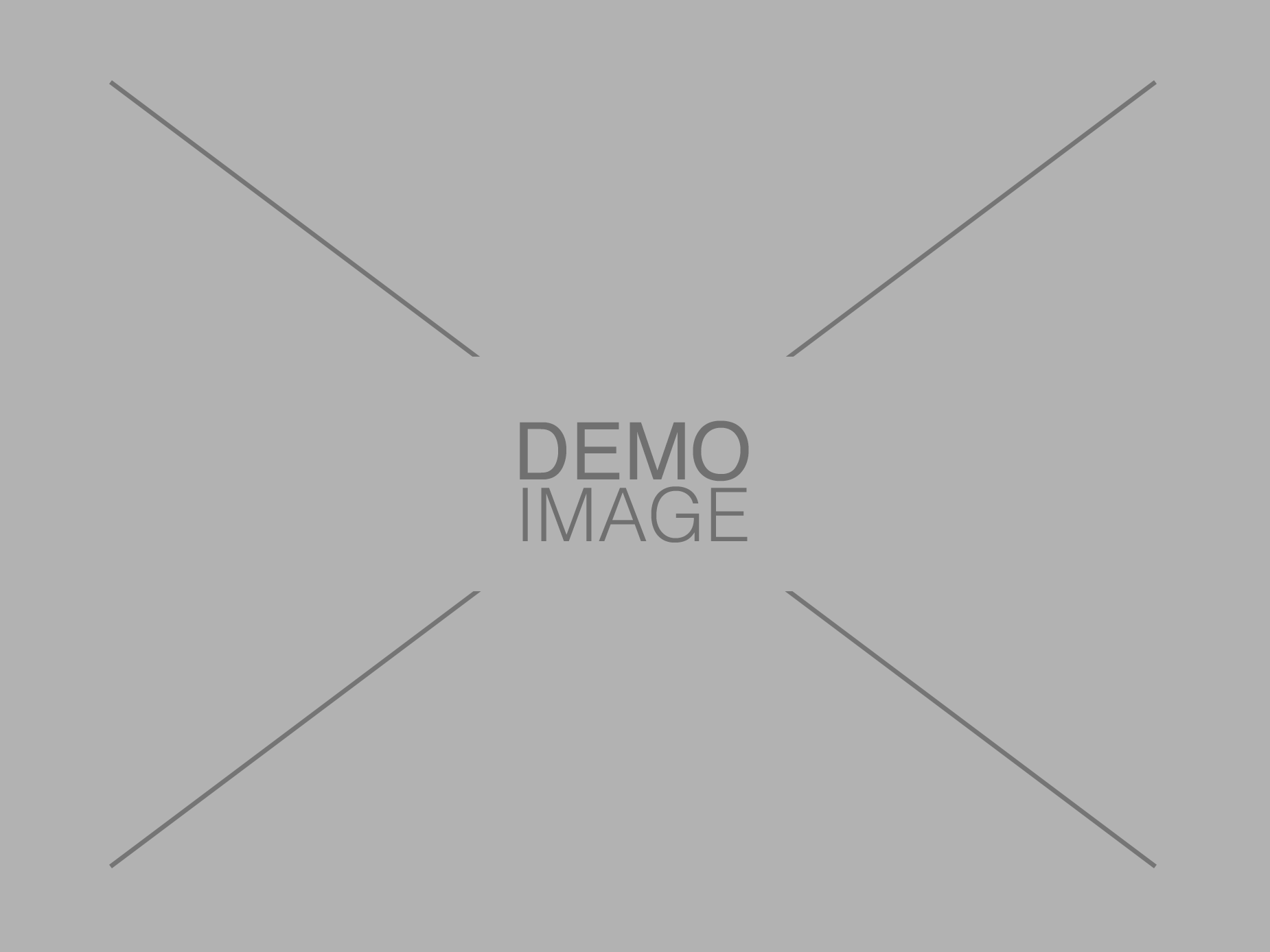Demo Image